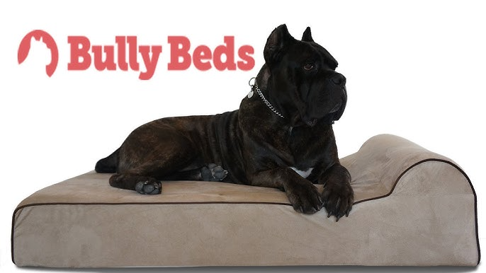 Bully Beds: Comfort Dogs Love